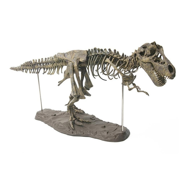 Assembled Dinosaur Toys 4D Tyrannosaurus Rex Bones Science Kit 4D ...