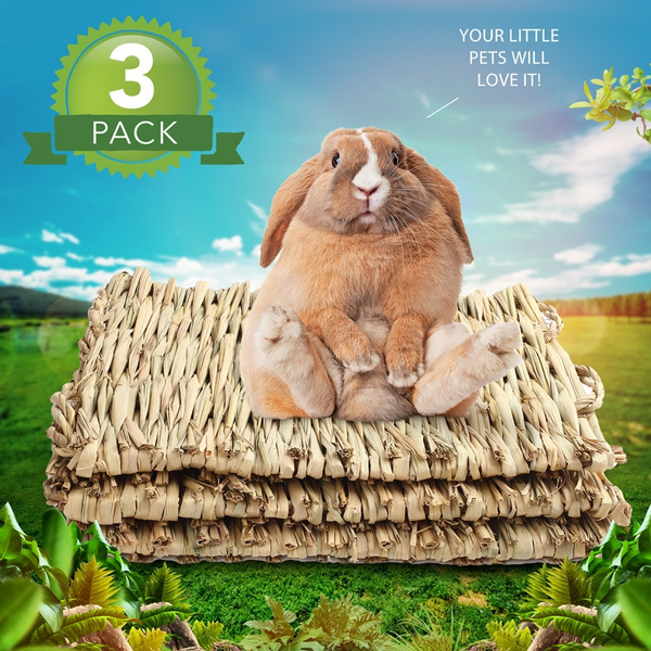 POPETPOP Rabbit Bedding 15.711 inches Grass Mat Woven Bed Mat for Small Animal Bunny Bedding Nest Chew Toy Bed Play Toy for Guinea Pig Parrot Rabbit Bunny Hamster Rat 