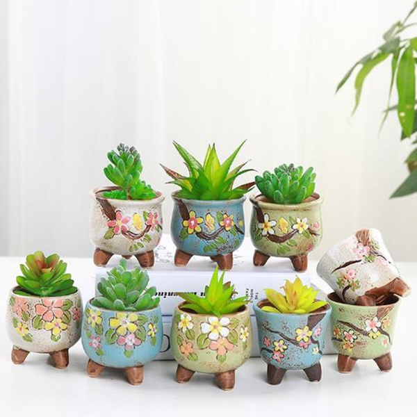 Succulent cactus plants potted Garden Bonsai flowering decoration Plants 