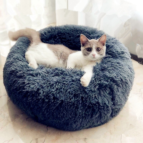 wish cat bed