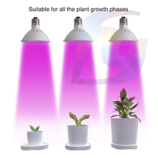 growinglight, plantsseedsbulb, Flowers, hydroponiclight