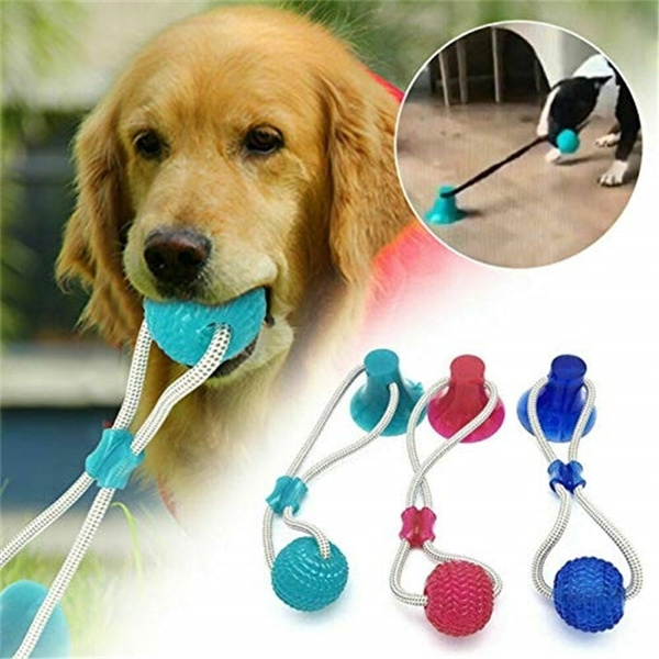 Suction Toys For Dogs - Home Alqu