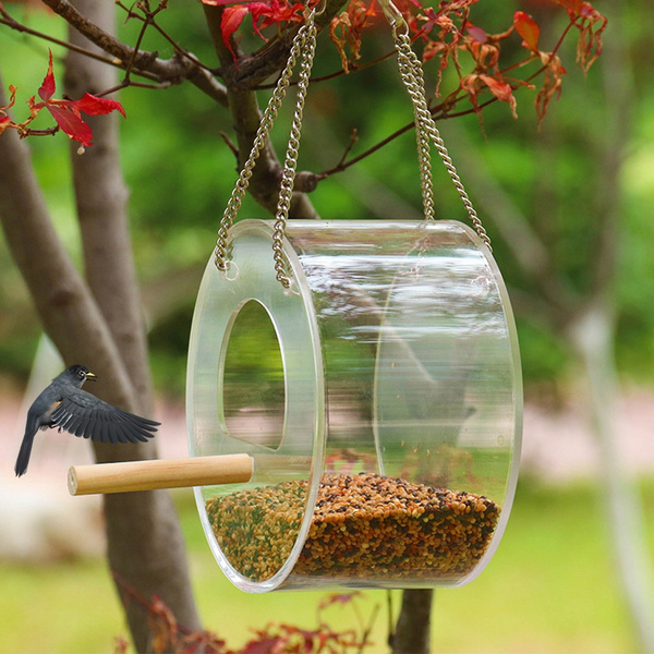 bird feeder wish