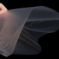 thumbnail - 7