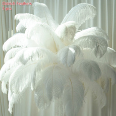 decoration, Cosplay, Carnival, featherblack