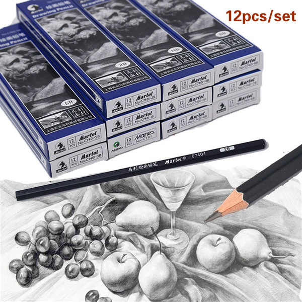 Marie's 12 Pcs Sketching Drawing Pencils with Box Set for Artists