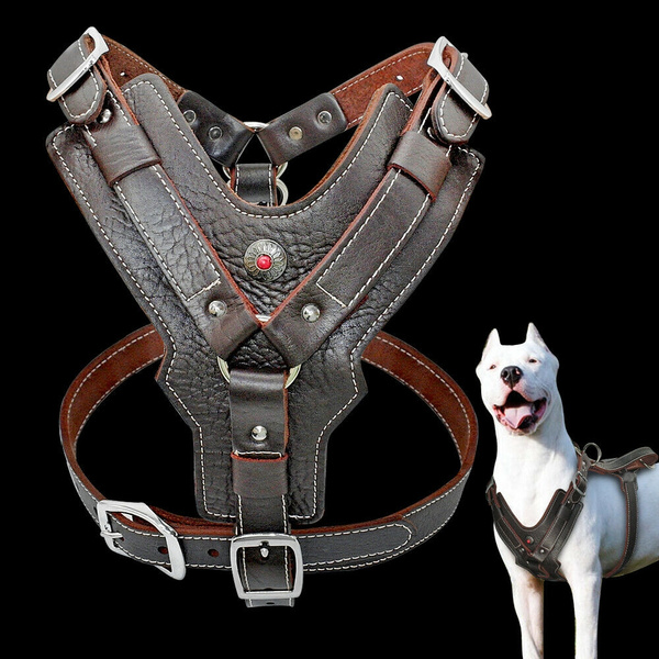 2xl dog harness