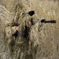 thumbnail - 1