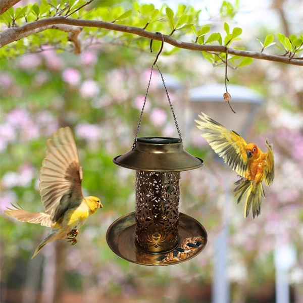 solar powered bird feeder