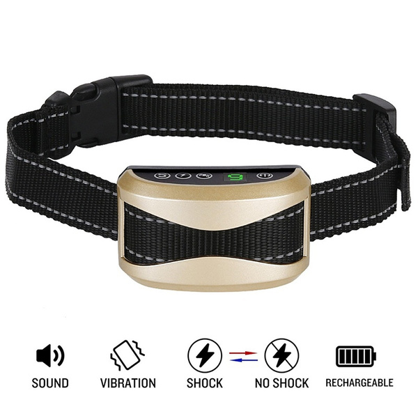 Snapshot of Electric Shock Free Dog Behavioral Correction