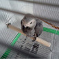 thumbnail - 2