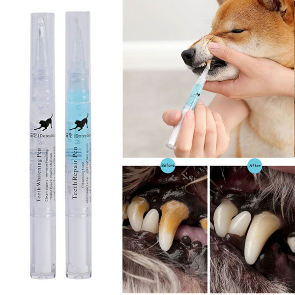 dog teeth plaque remover