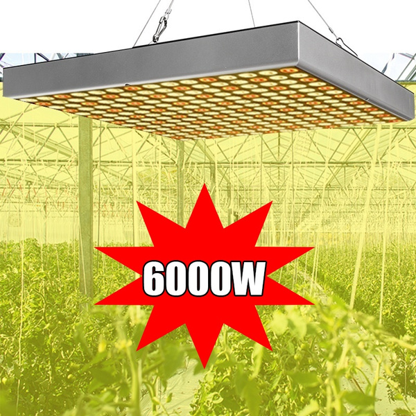 6000 watt led grow light