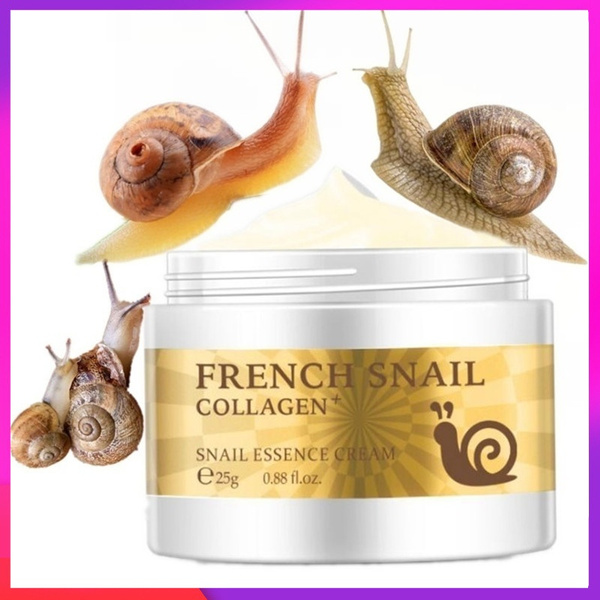 snail essence cream