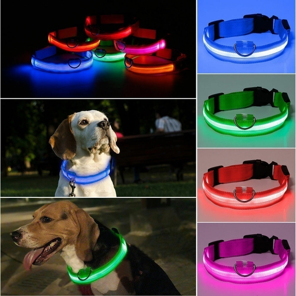 flashing lights for dog collars