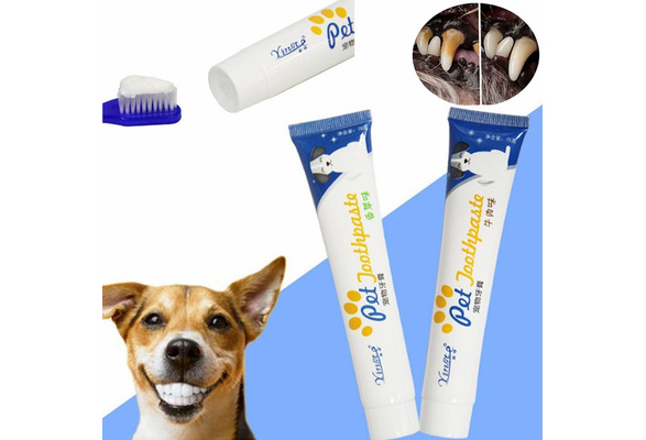 Edible 2024 dog toothpaste