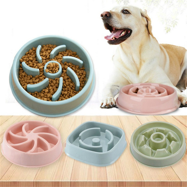 Pet Slow Feeder Bowl Dog Puppy Cat Slow Eating Dish Bowl Anti