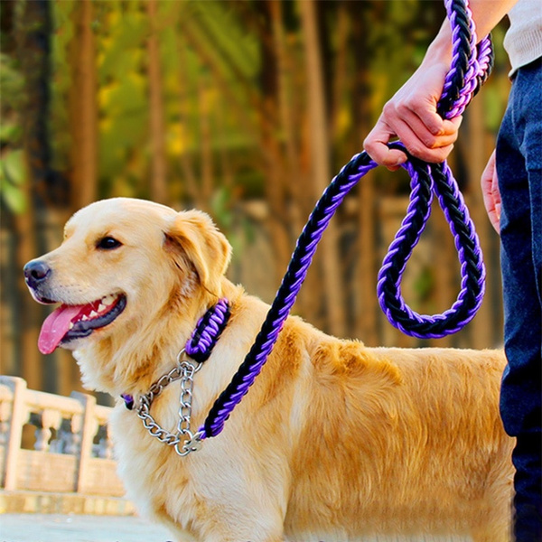 Big dog shop chain leash