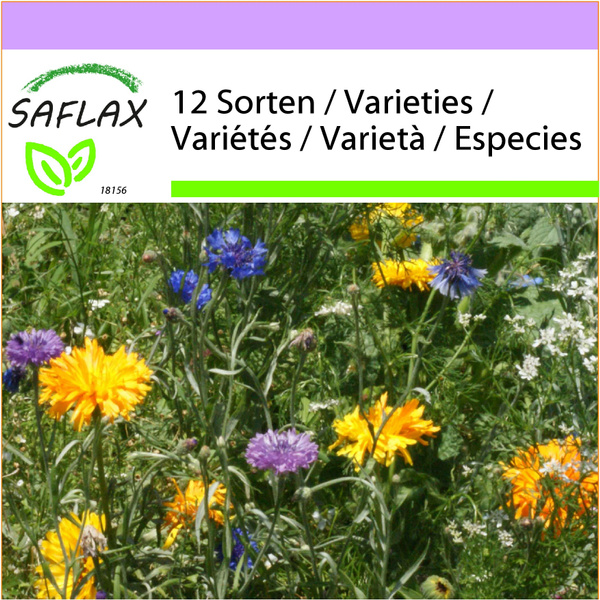 SAFLAX - Edible Flower Mix - 1000 seeds - 12 Wildflower Mix | Wish