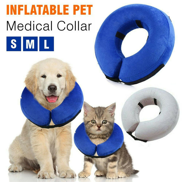 inflatable cones for cats