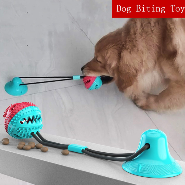 wish dog toys