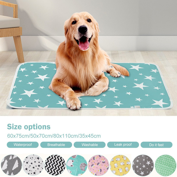 washable floor mats for dogs