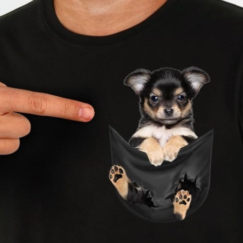 chihuahua in pocket t shirt