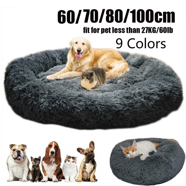 large size dog beds