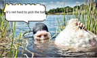 thumbnail - 11