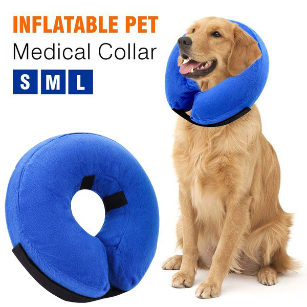 puppy itching collar