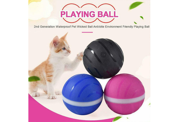 wicked ball pet toy