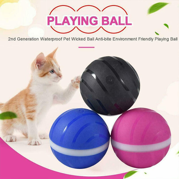 cat wicked ball