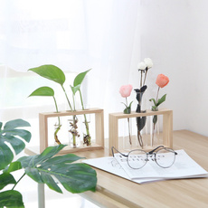cute, Plants, Home & Kitchen, hydroponic