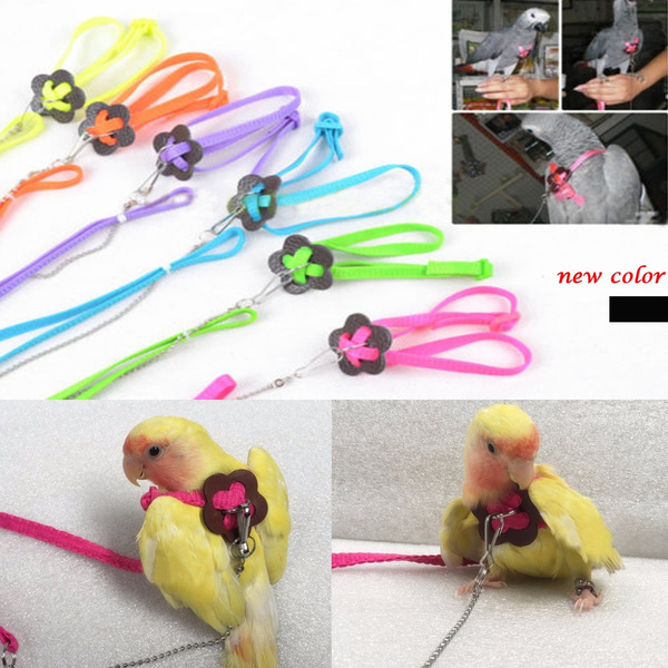 balacoo Bird Harness and Leash Adjustable Flying Anti bite Training Rope for Parrots African Grey Cockatoo and Reptile Lizard Outdoor Walk 