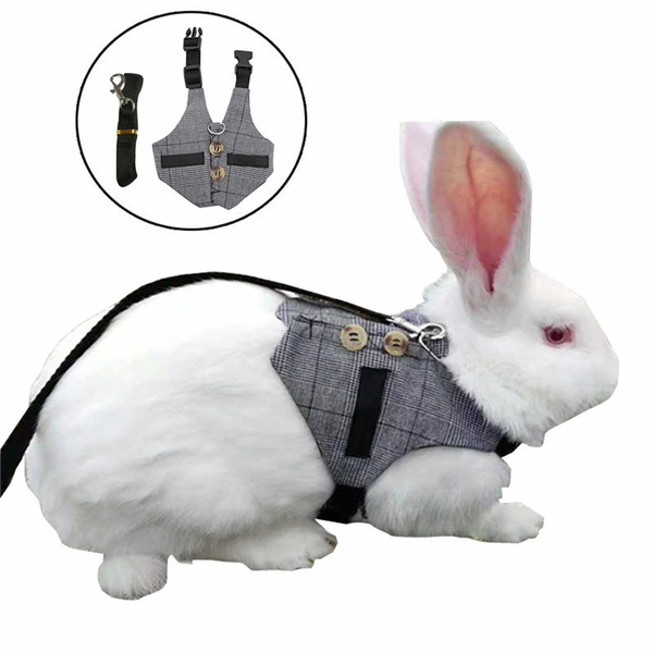 rabbit vest harness