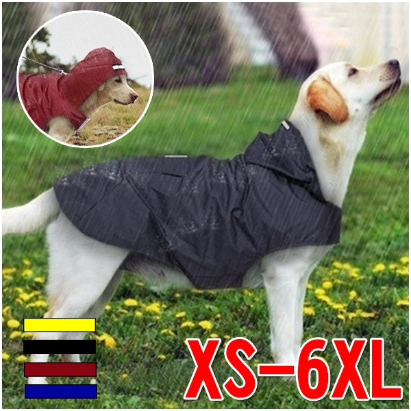 husky raincoat