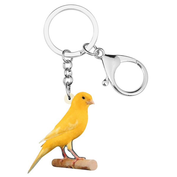 canary bird accessories