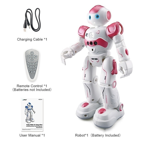 intelligent remote control robot