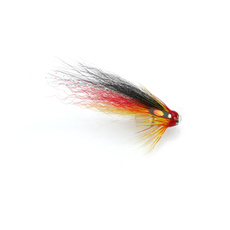 tubefly, Pets, salmonfl, Dogs