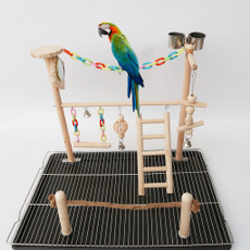 Parrot, Pets, ladder, playstand