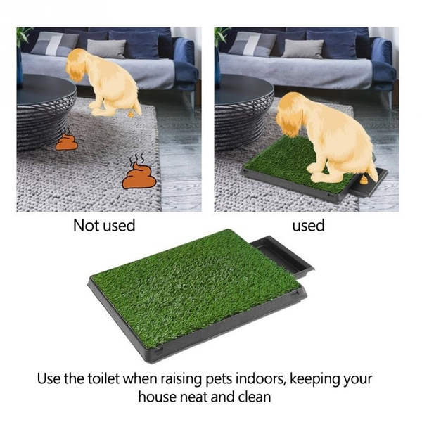 dog bathroom mat