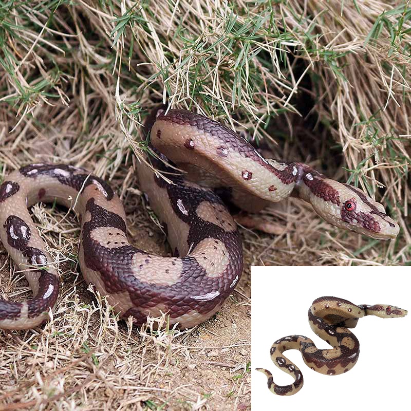 snake prank toy