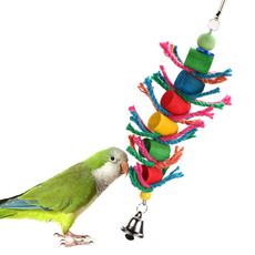 Funny, Toy, petstoy, Parrot