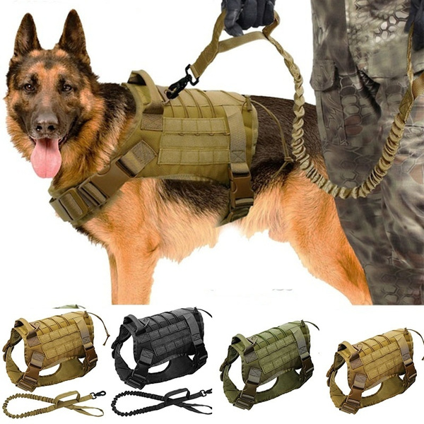 Military shop dog supplies