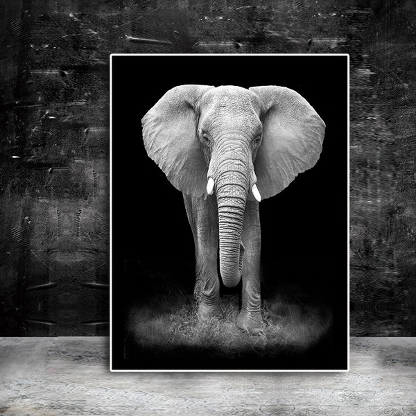 Elephant Painting Wild Big Animal Black and White Picture Mammals Print Photo 