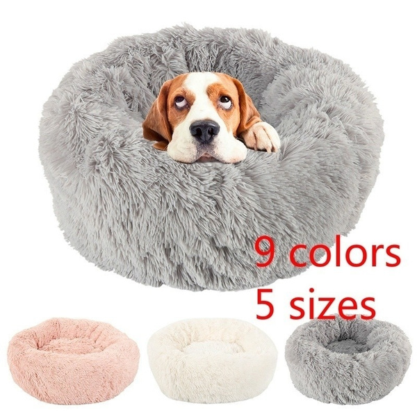 dog bed wish