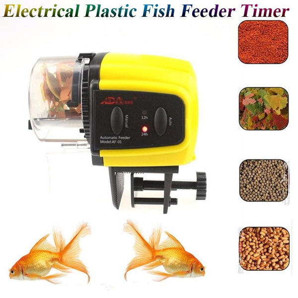 automatic goldfish feeder