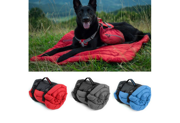 portable dog mat