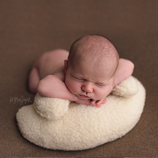 posingpillow, Infant, Photo Studio, Blanket