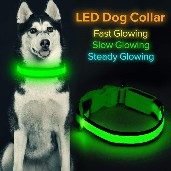 glow in the dark dog collar